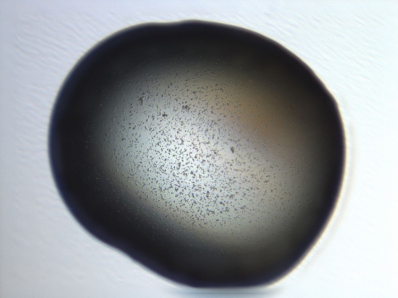 04g9_H5_ImagerDefaults_3.jpg