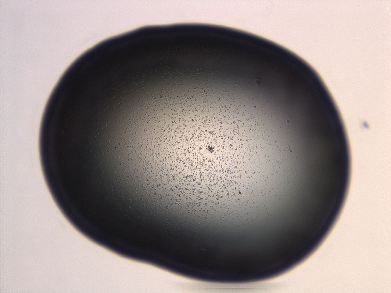 04g9_H6_ImagerDefaults_3.jpg