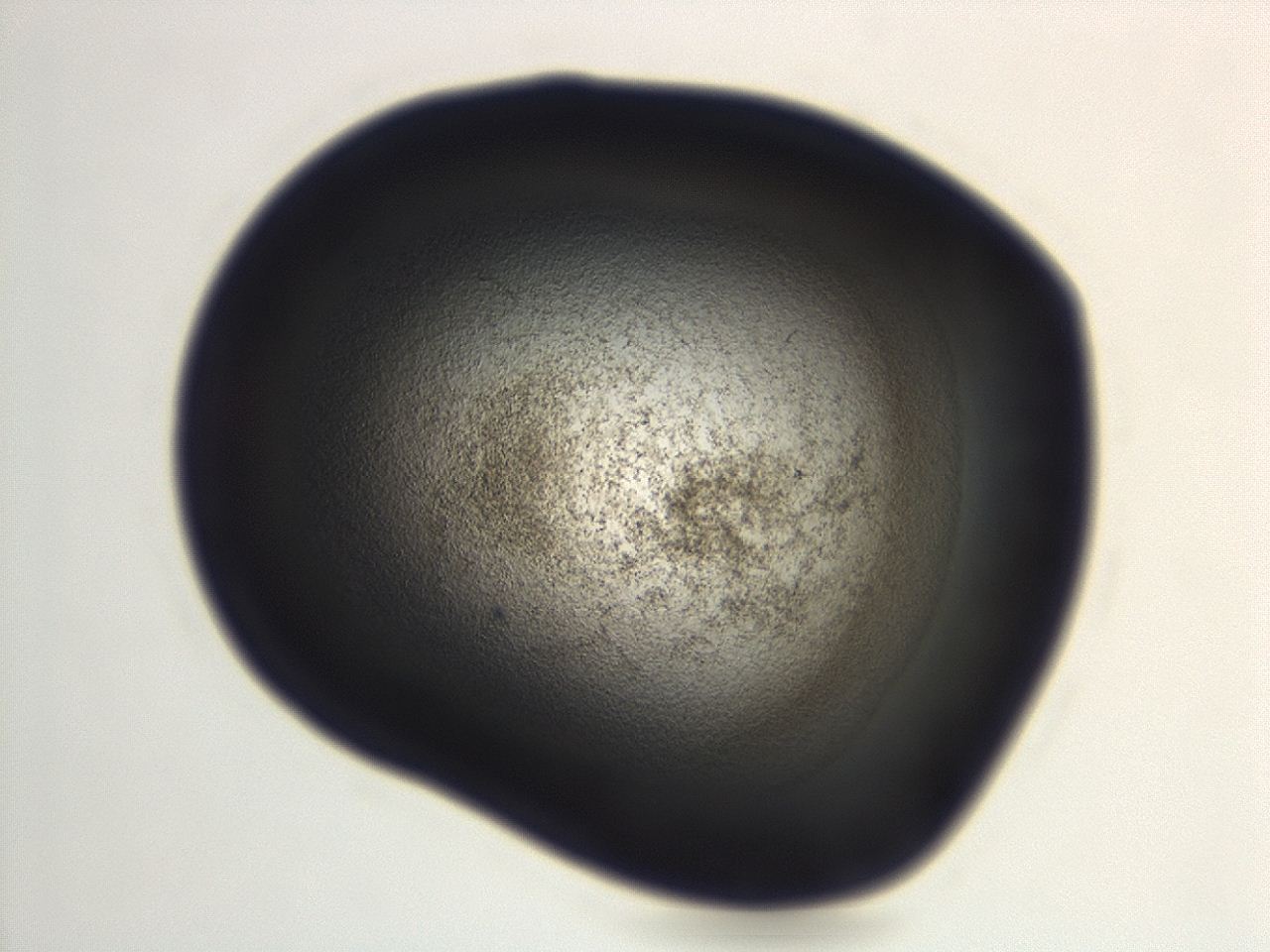 04g9_H7_ImagerDefaults_3.jpg