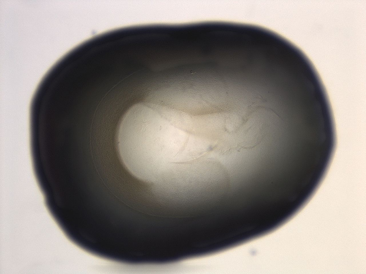 04g9_H10_ImagerDefaults_3.jpg