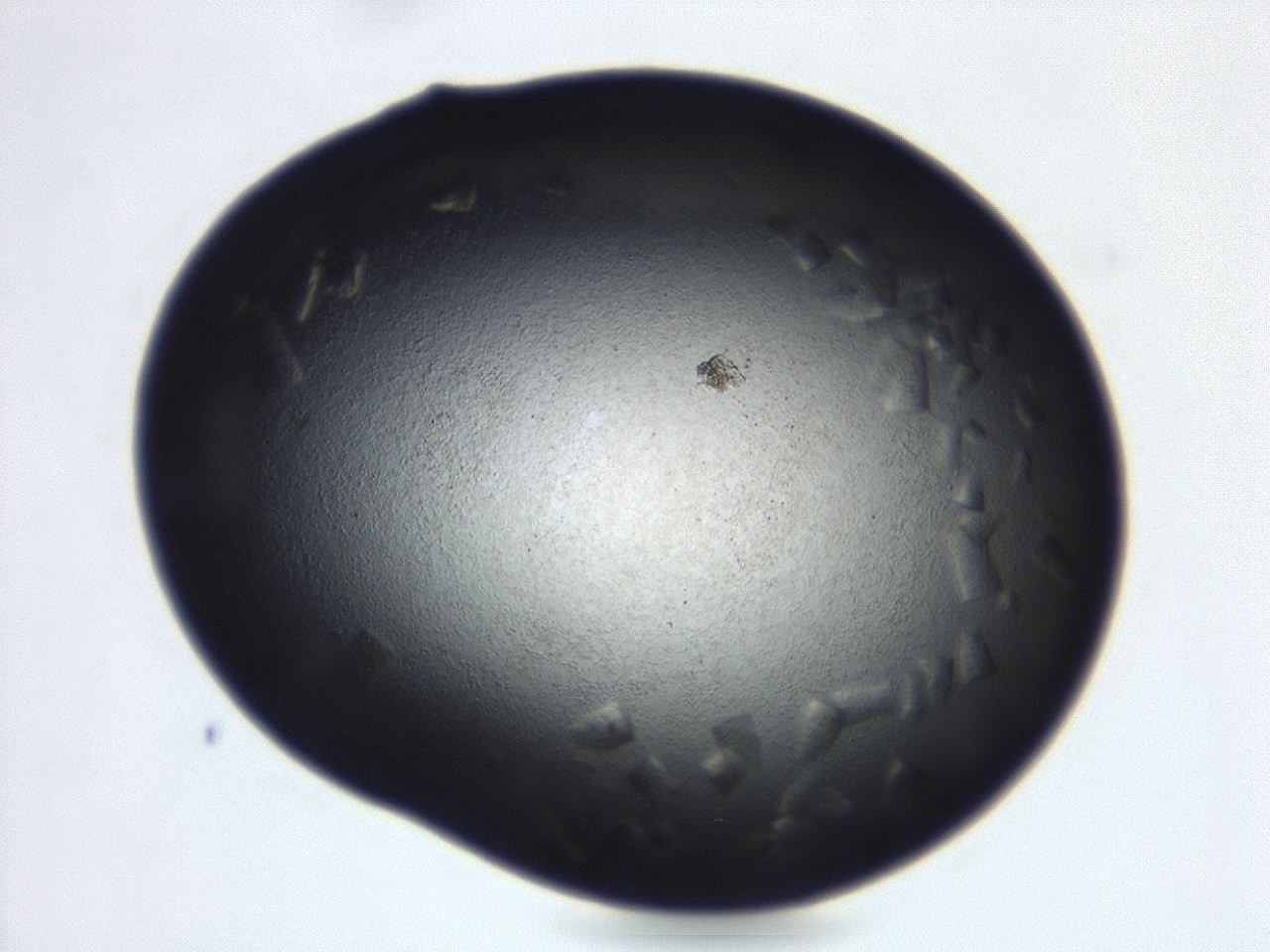 04ga_C1_ImagerDefaults_9.jpg