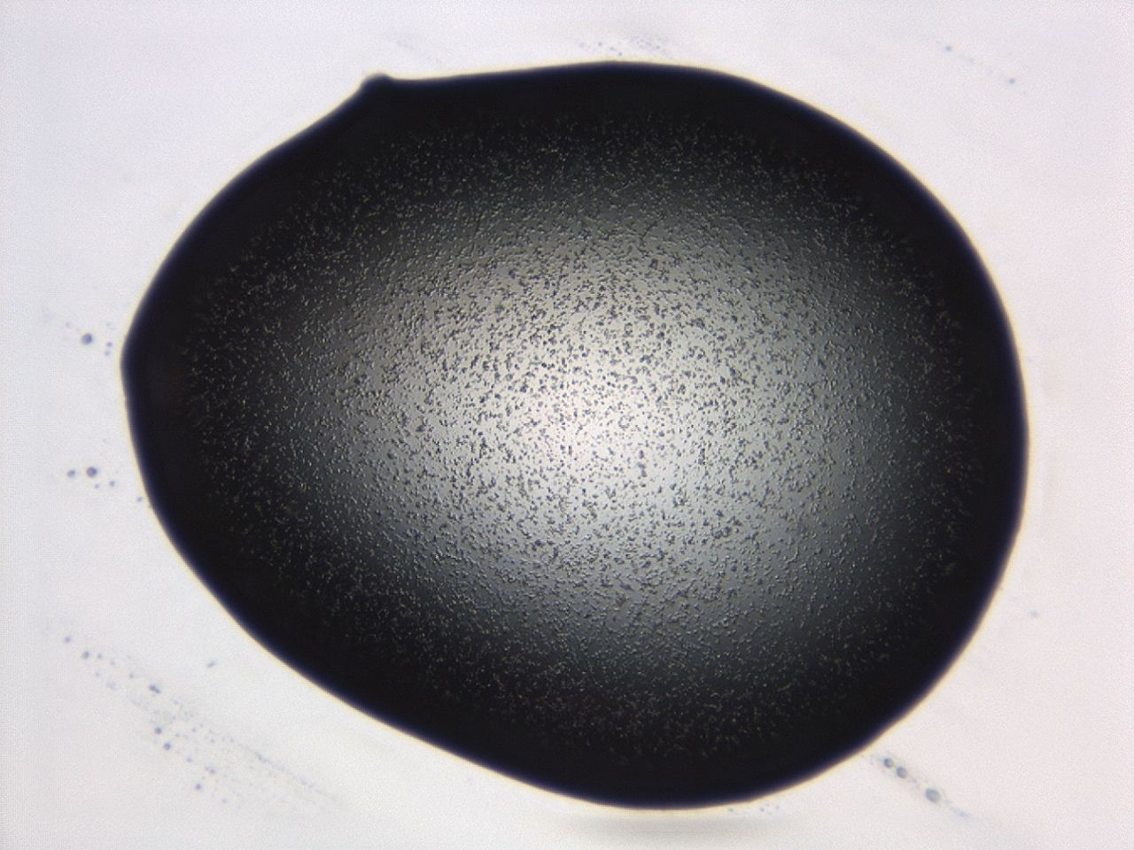 04ga_C6_ImagerDefaults_3.jpg
