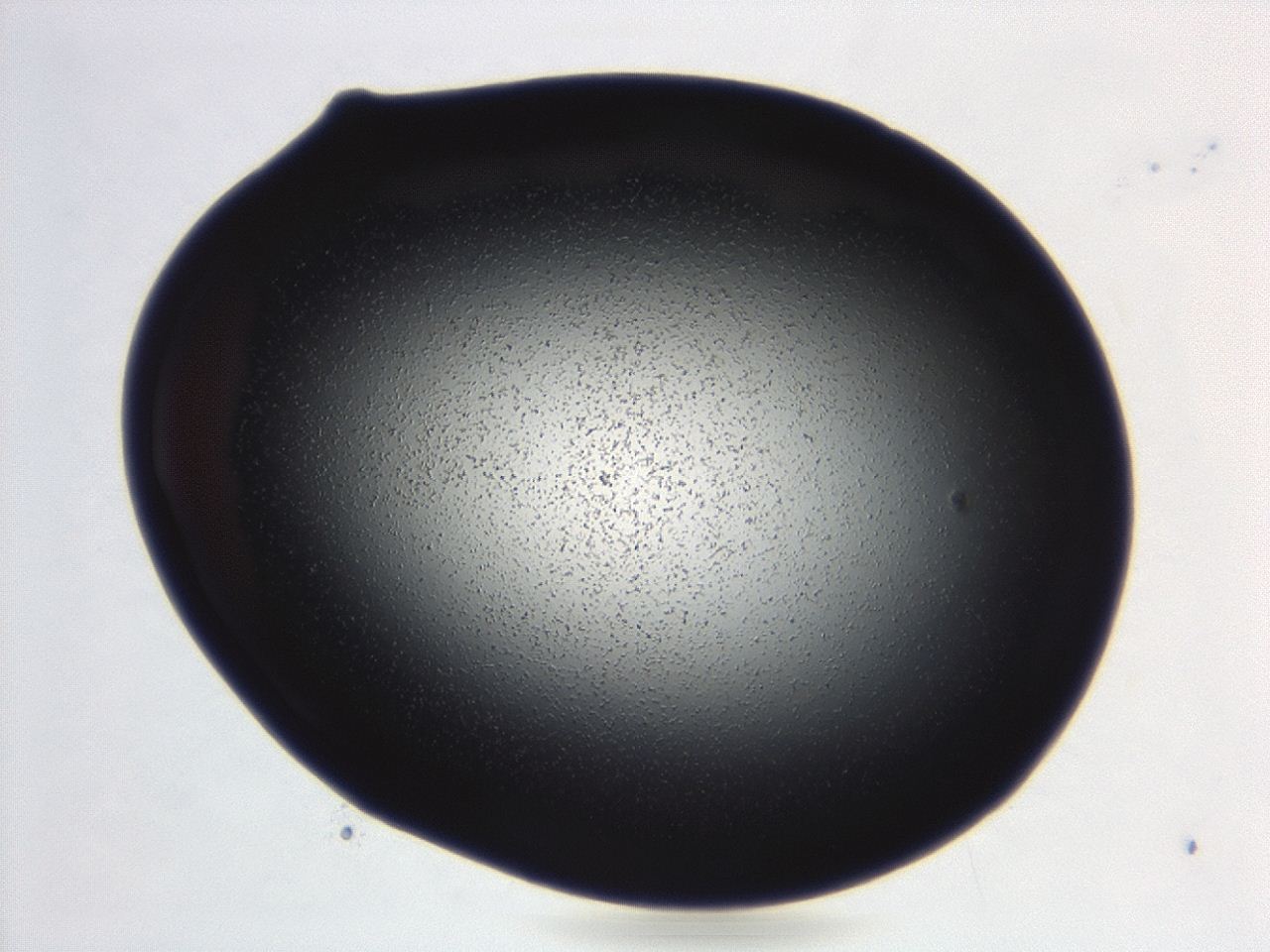 04ga_C7_ImagerDefaults_0.jpg