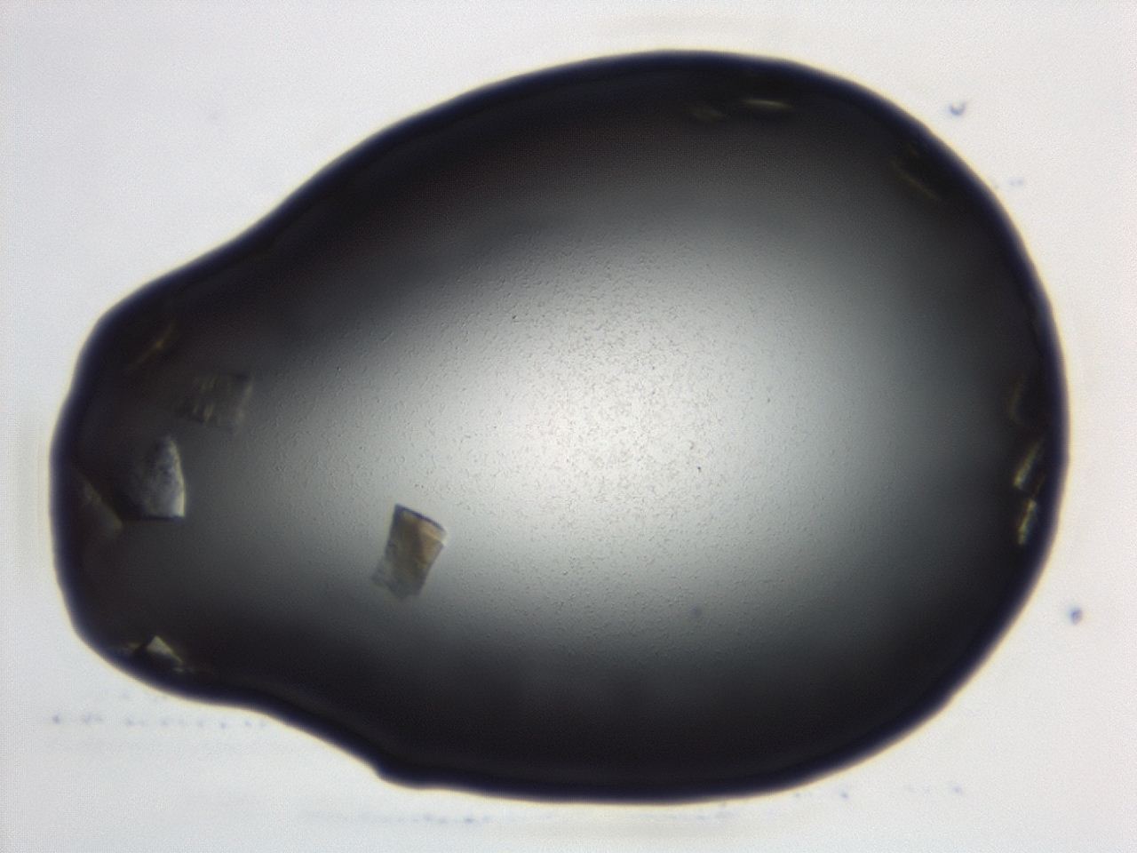 04ga_C8_ImagerDefaults_9.jpg