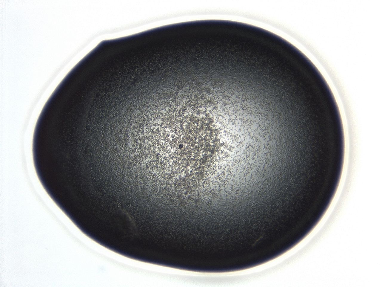04ga_C9_ImagerDefaults_3.jpg