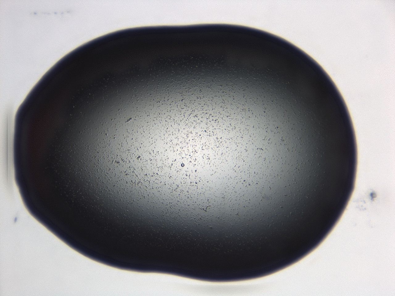 04ga_B8_ImagerDefaults_0.jpg