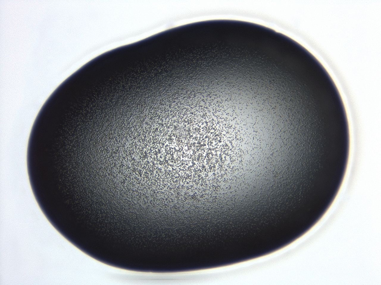 04ga_B11_ImagerDefaults_3.jpg