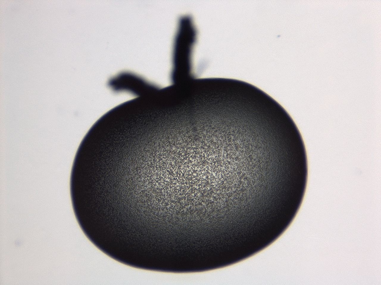 04ga_B12_ImagerDefaults_3.jpg