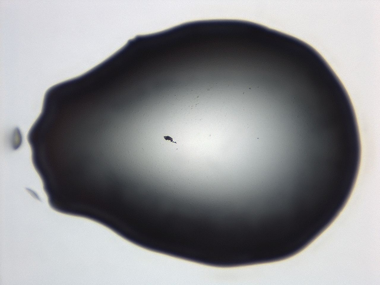 04ga_C11_ImagerDefaults_0.jpg