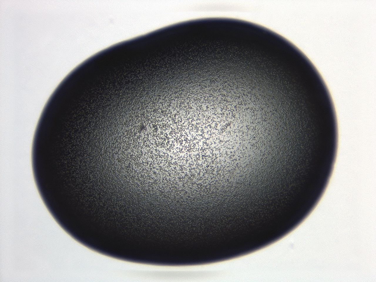 04ga_C12_ImagerDefaults_3.jpg