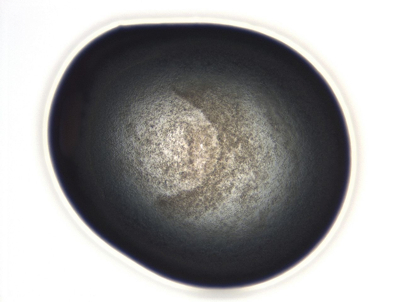 04ga_D3_ImagerDefaults_3.jpg