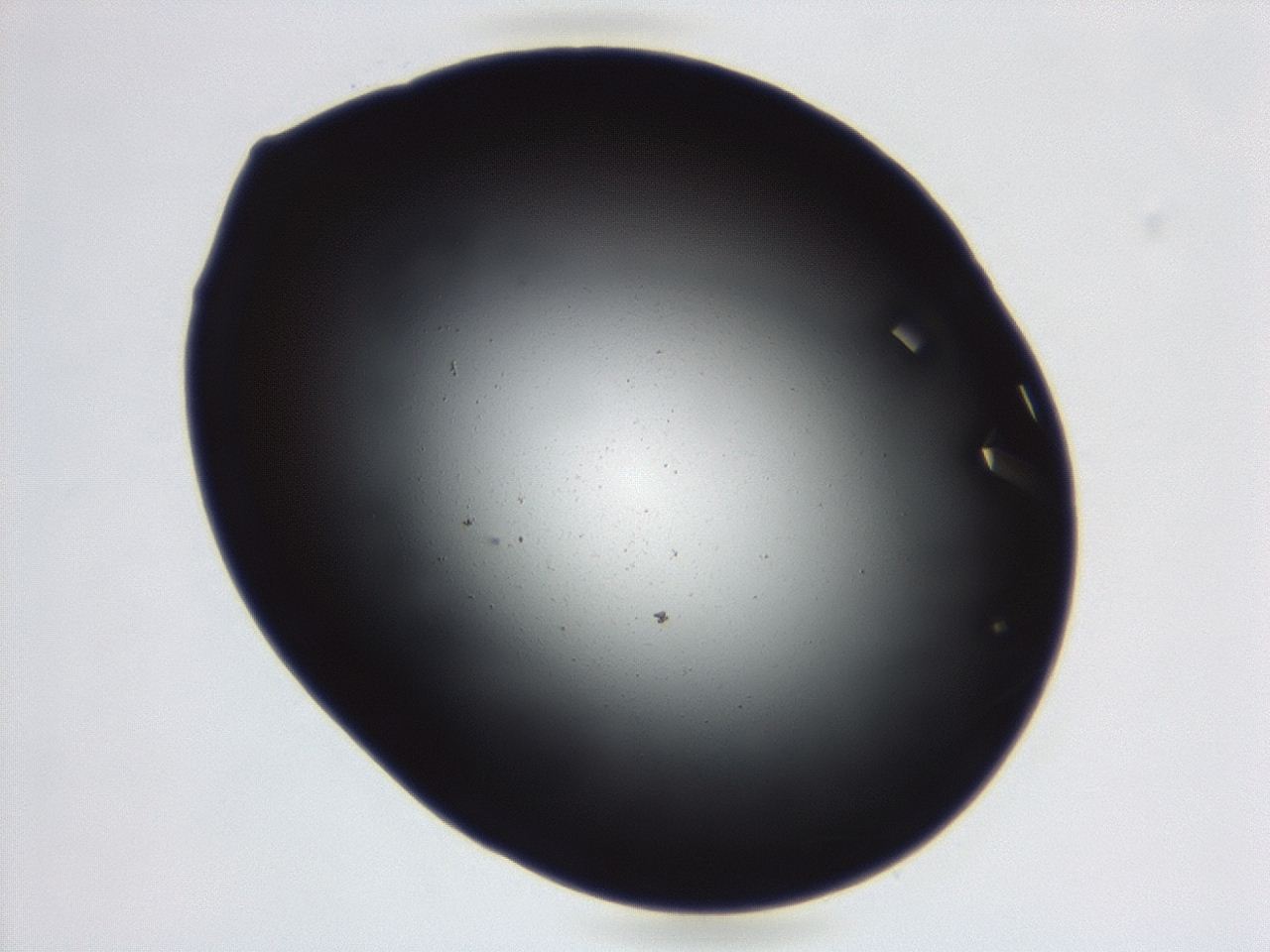 04ga_D5_ImagerDefaults_0.jpg