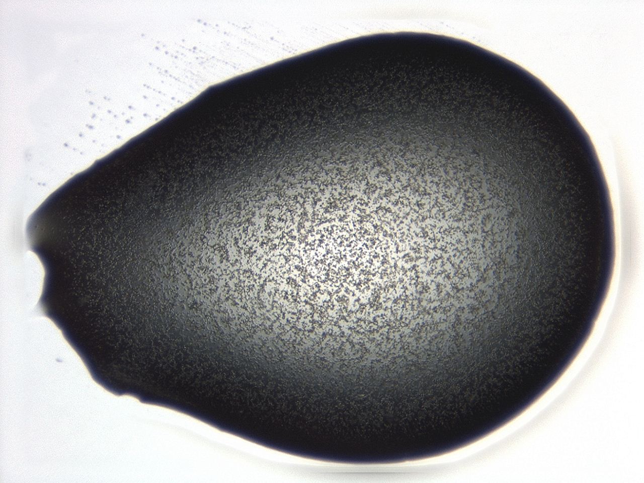 04ga_D7_ImagerDefaults_3.jpg