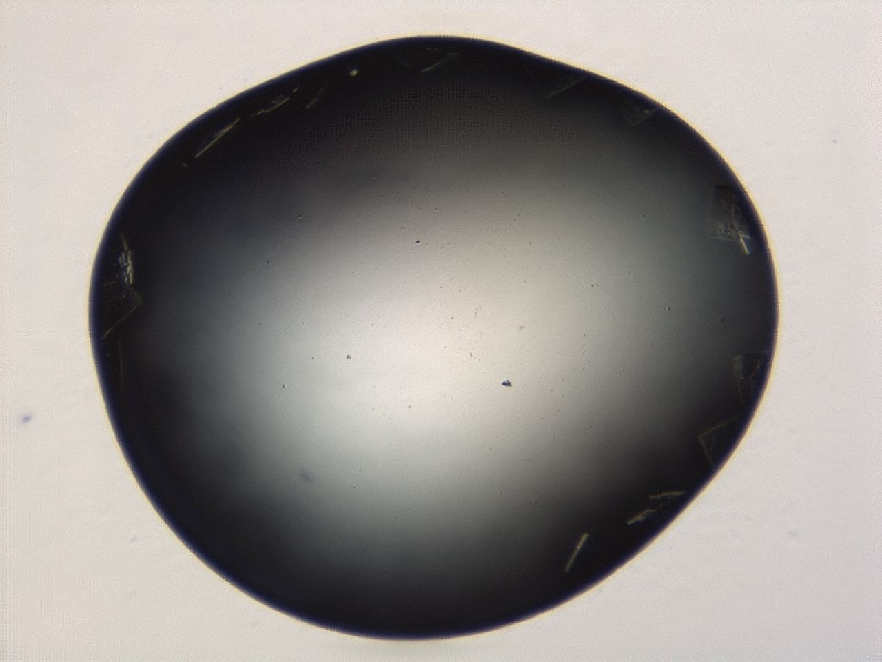 04ga_A6_ImagerDefaults_0.jpg