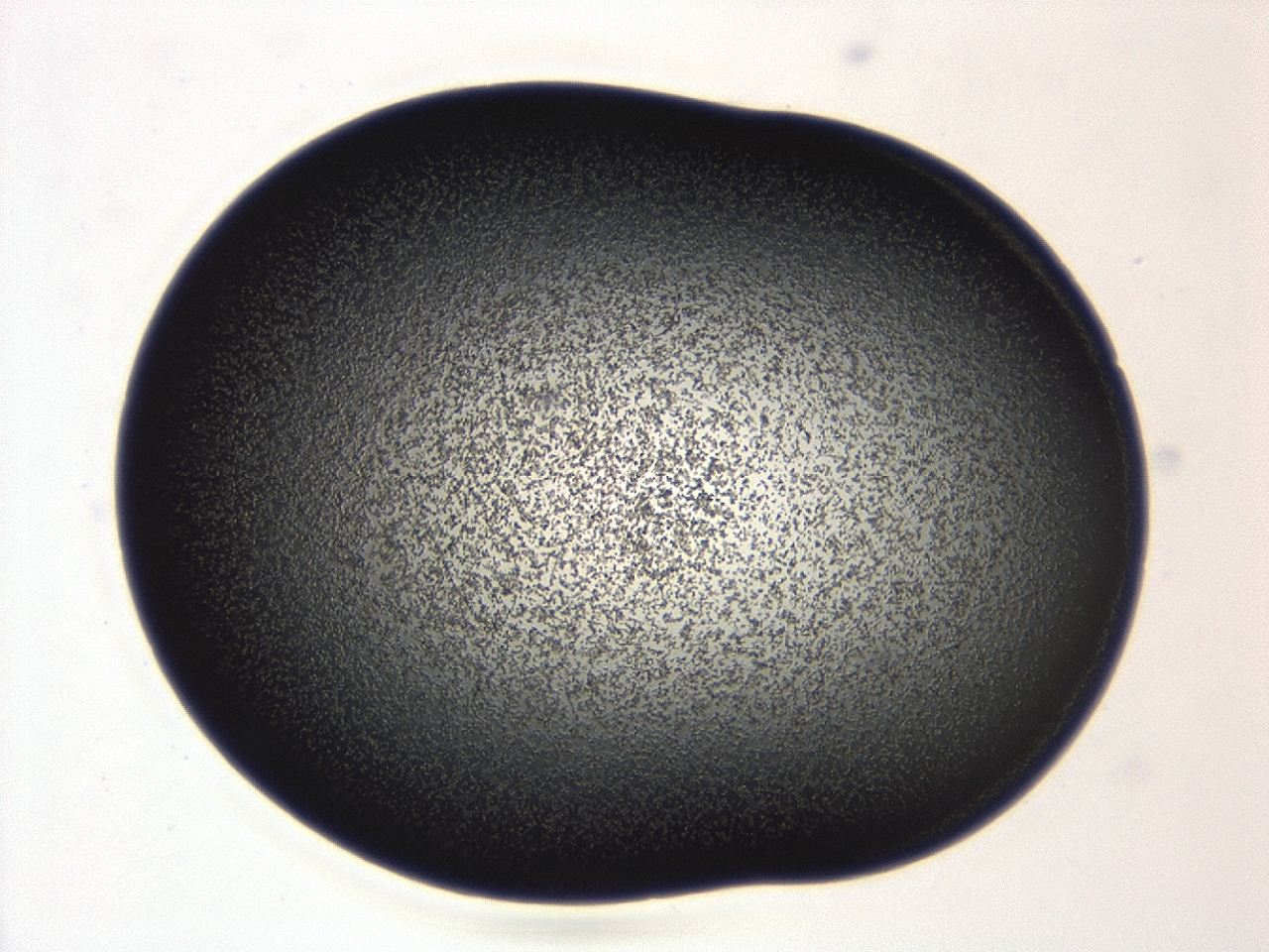 04ga_A9_ImagerDefaults_3.jpg