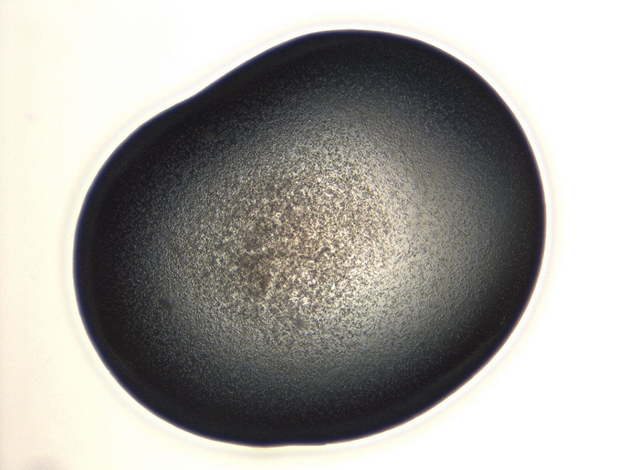 04ga_A11_ImagerDefaults_3.jpg