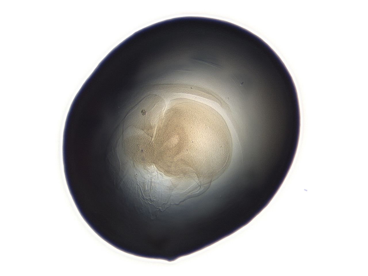 04ga_A12_ImagerDefaults_3.jpg