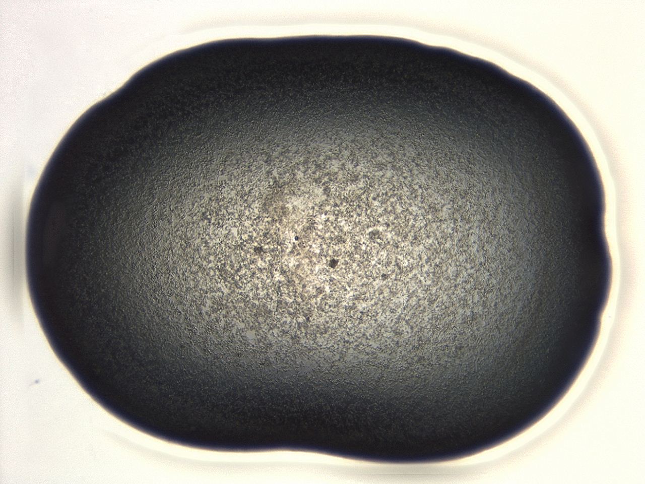 04ga_B2_ImagerDefaults_3.jpg