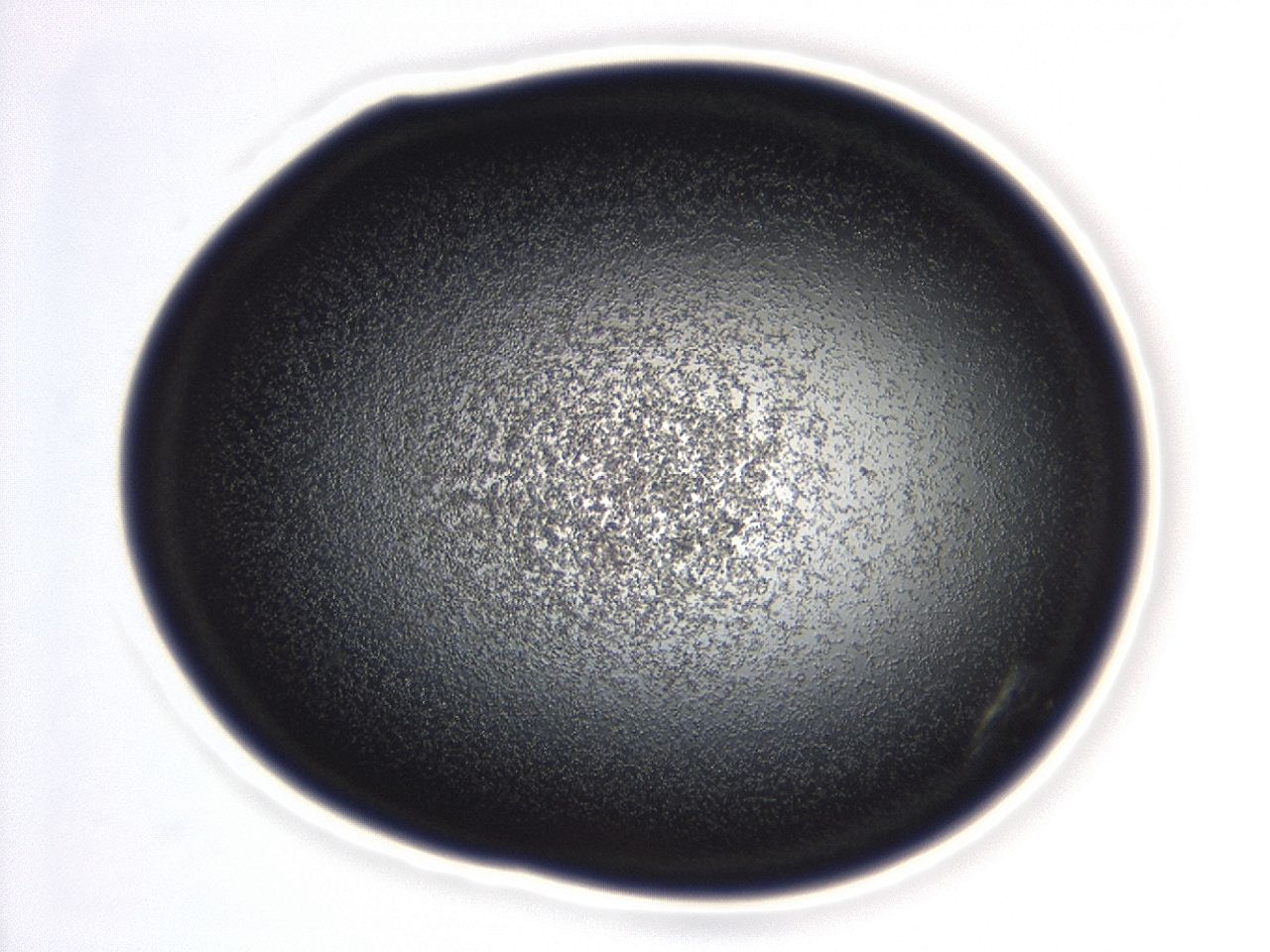 04ga_D10_ImagerDefaults_3.jpg