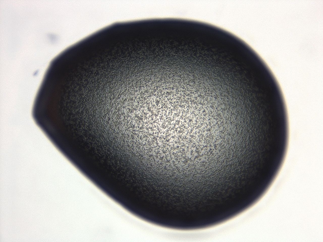 04ga_D12_ImagerDefaults_3.jpg