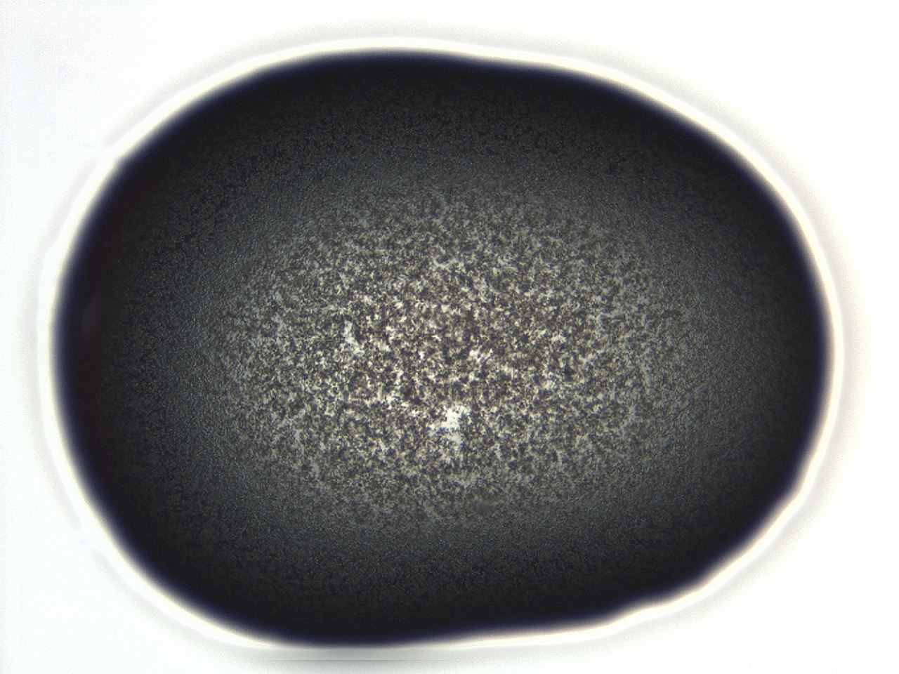 04ga_E1_ImagerDefaults_3.jpg