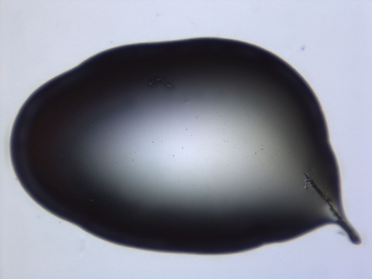 04ga_E2_ImagerDefaults_0.jpg