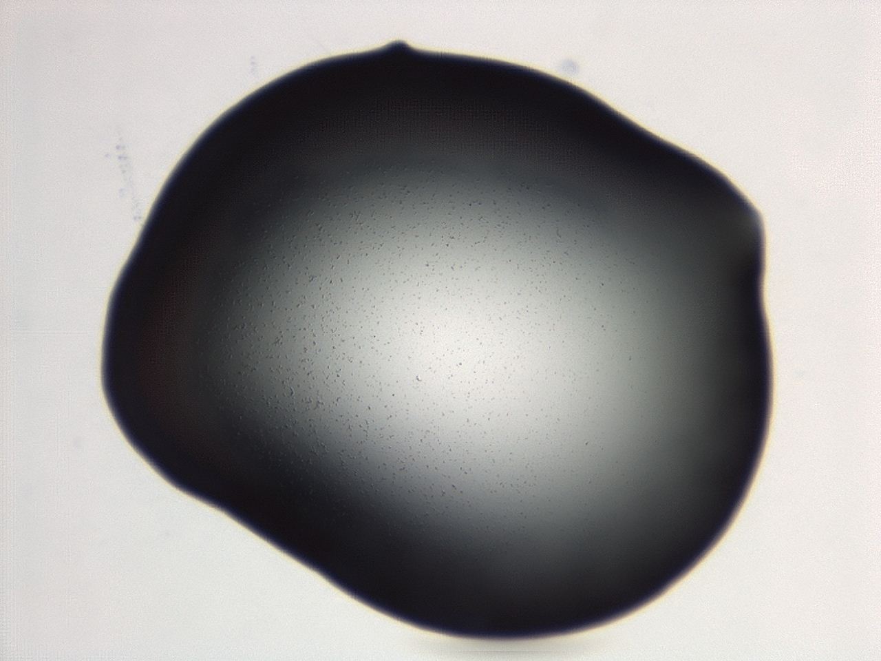 04ga_E8_ImagerDefaults_0.jpg