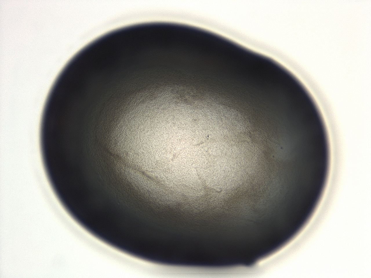 04ga_F1_ImagerDefaults_3.jpg