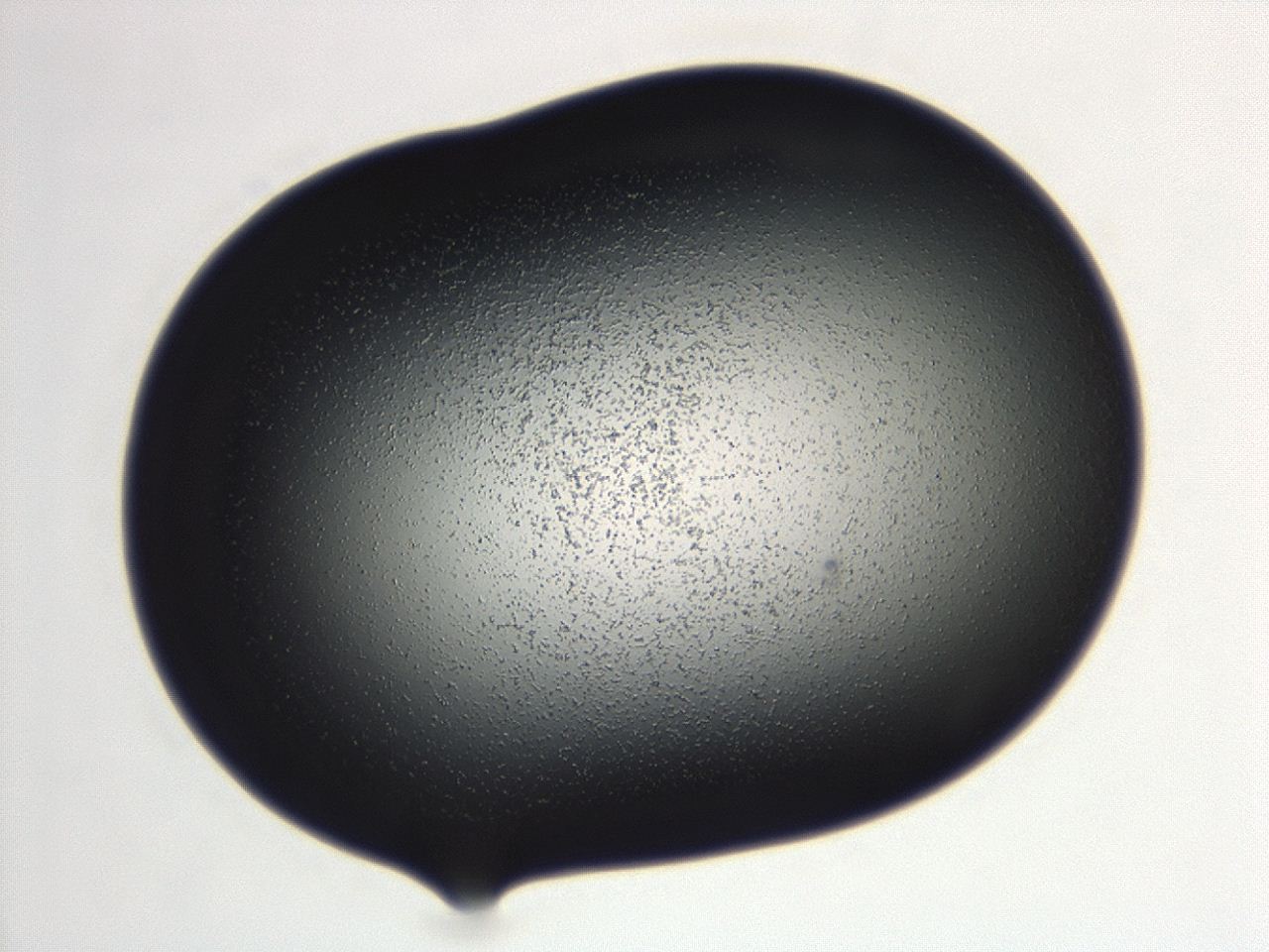 04ga_F5_ImagerDefaults_3.jpg