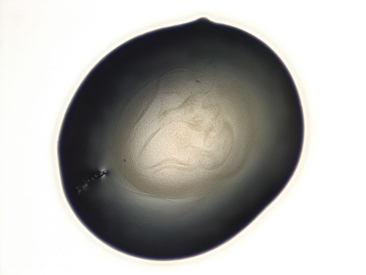 04ga_F8_ImagerDefaults_3.jpg