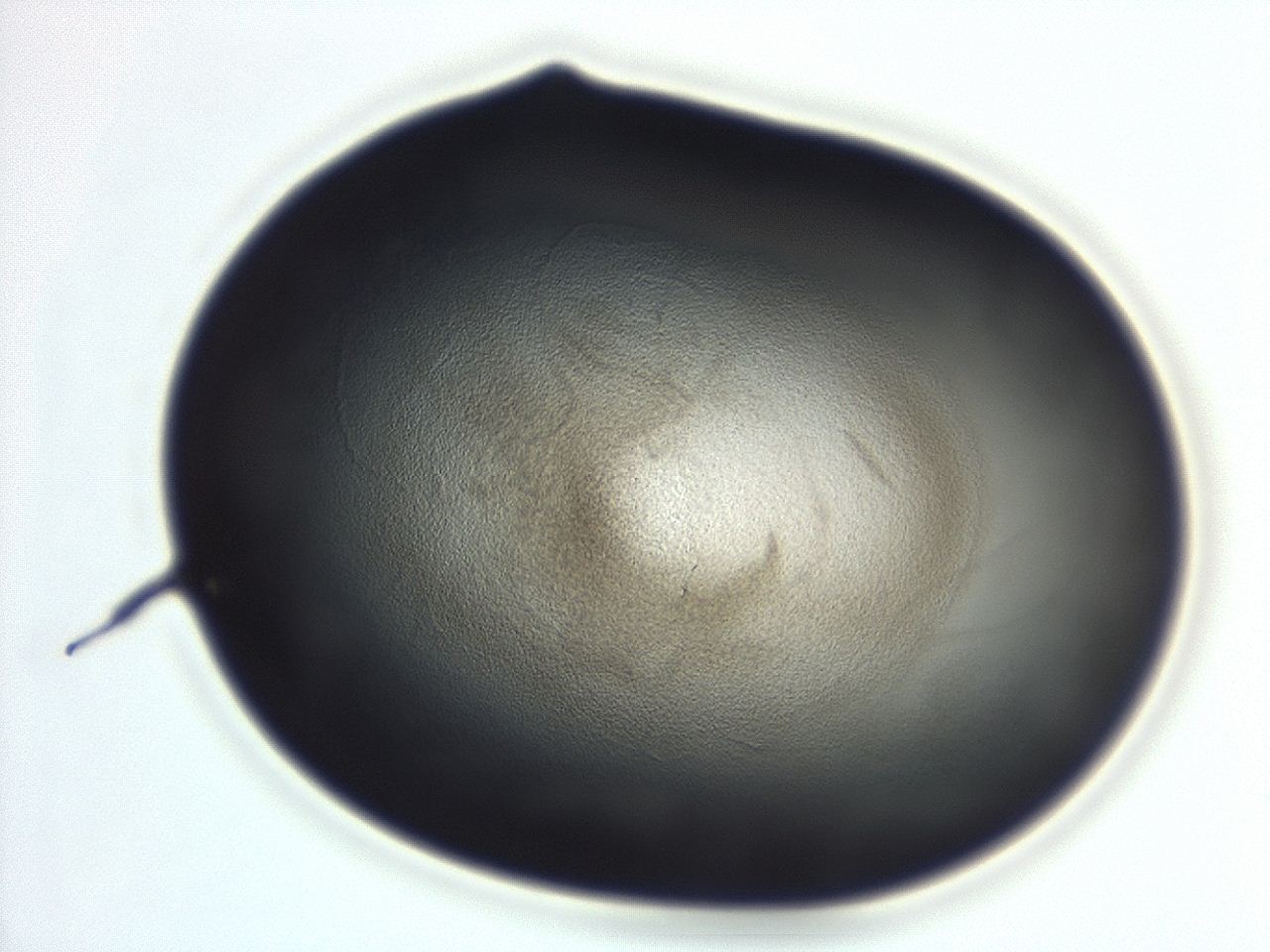04ga_F10_ImagerDefaults_3.jpg