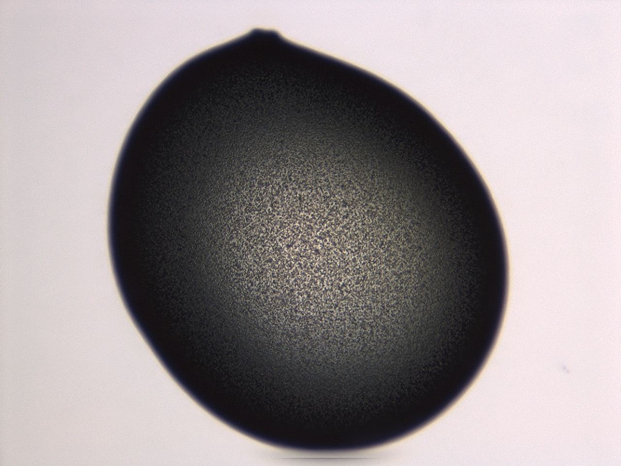 04ga_G3_ImagerDefaults_3.jpg