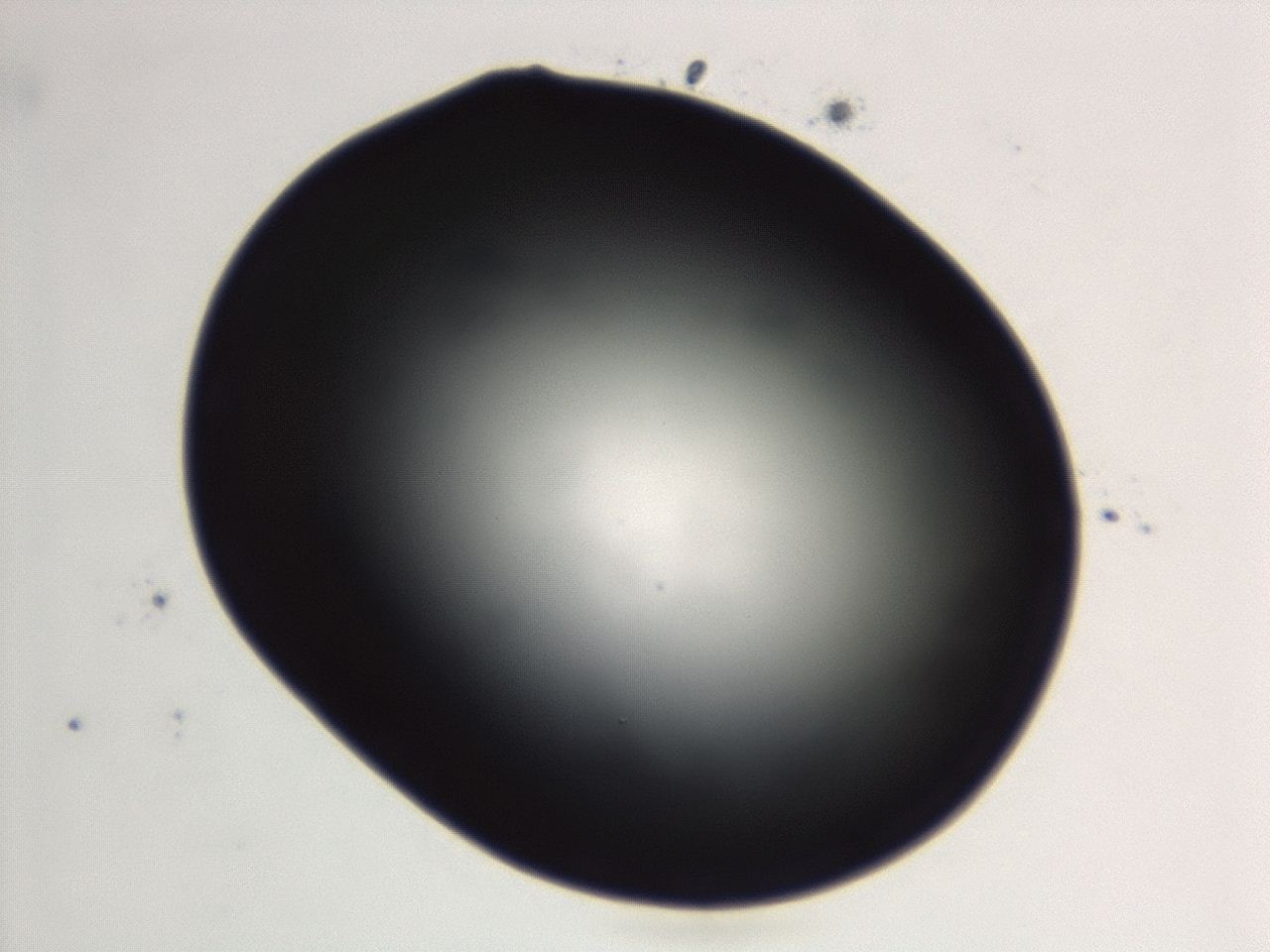04ga_G4_ImagerDefaults_0.jpg