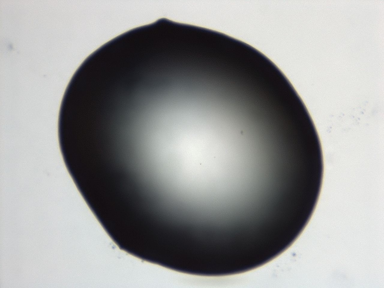 04ga_G5_ImagerDefaults_0.jpg