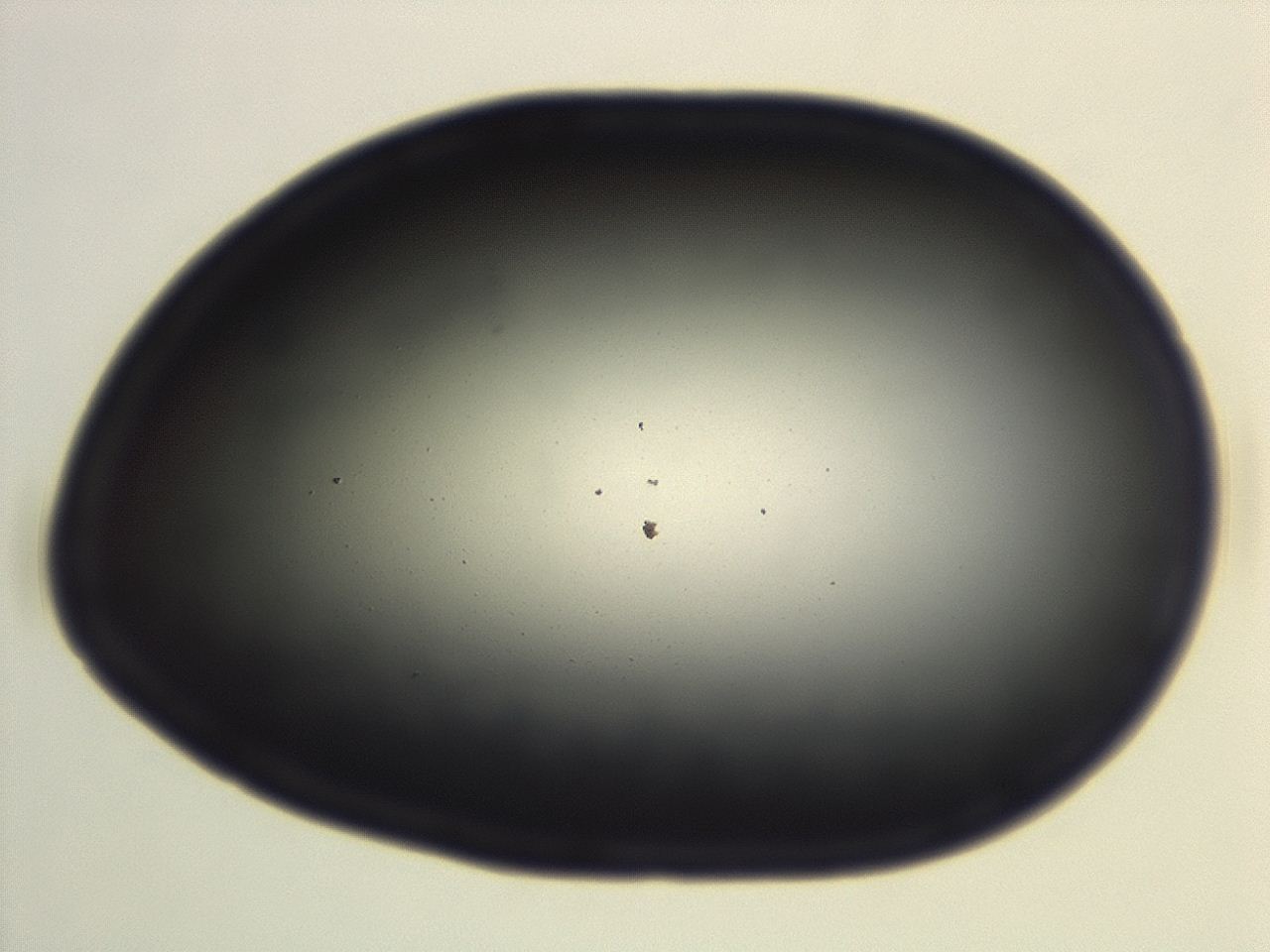 04ga_G10_ImagerDefaults_0.jpg