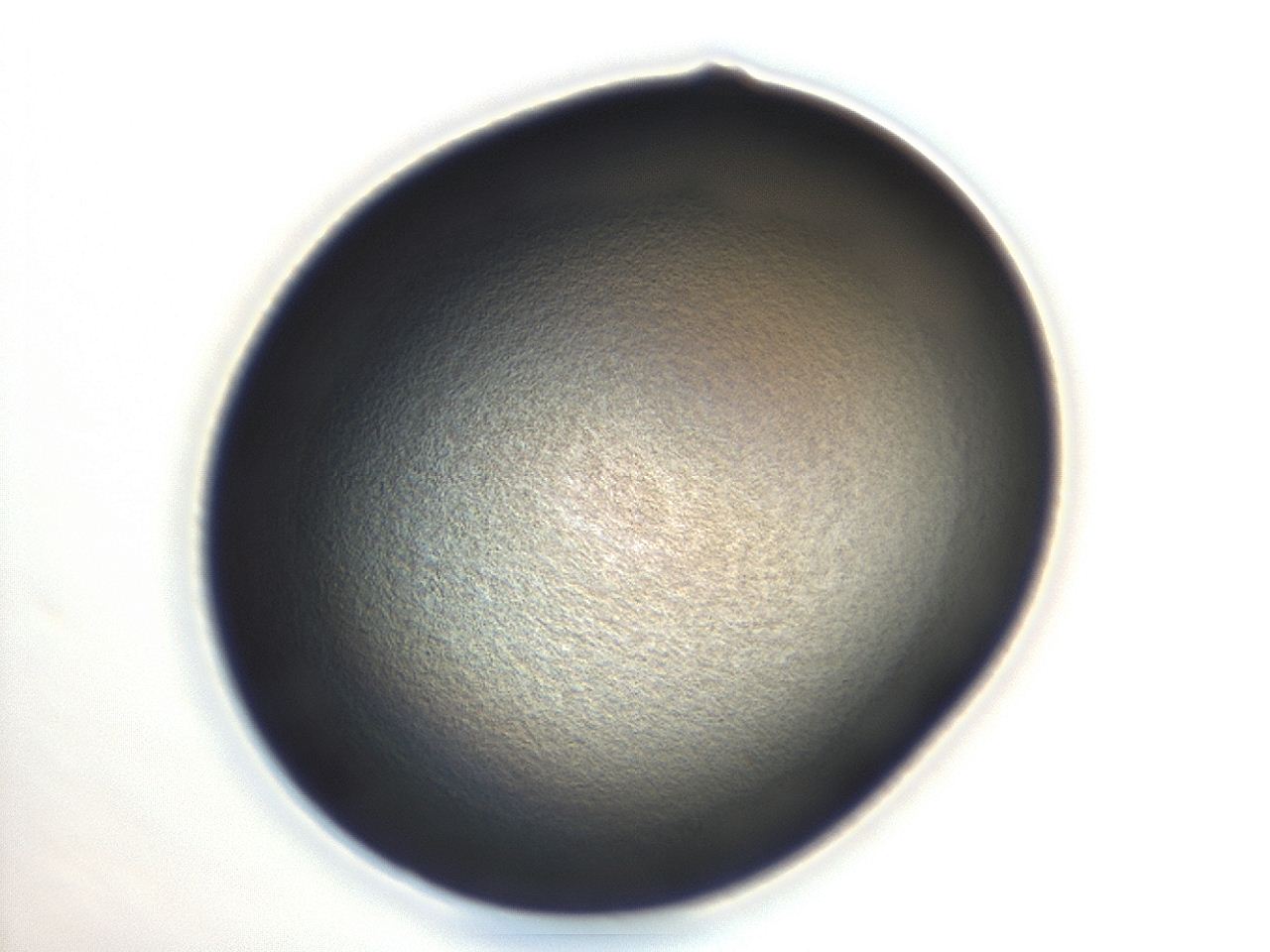 04ga_H1_ImagerDefaults_3.jpg