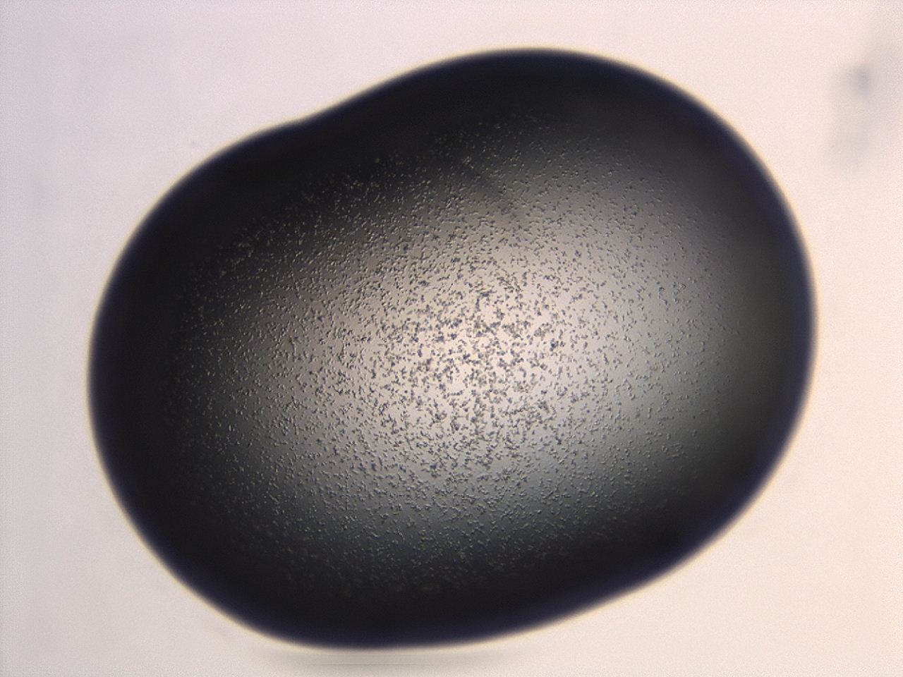 04ga_H6_ImagerDefaults_3.jpg
