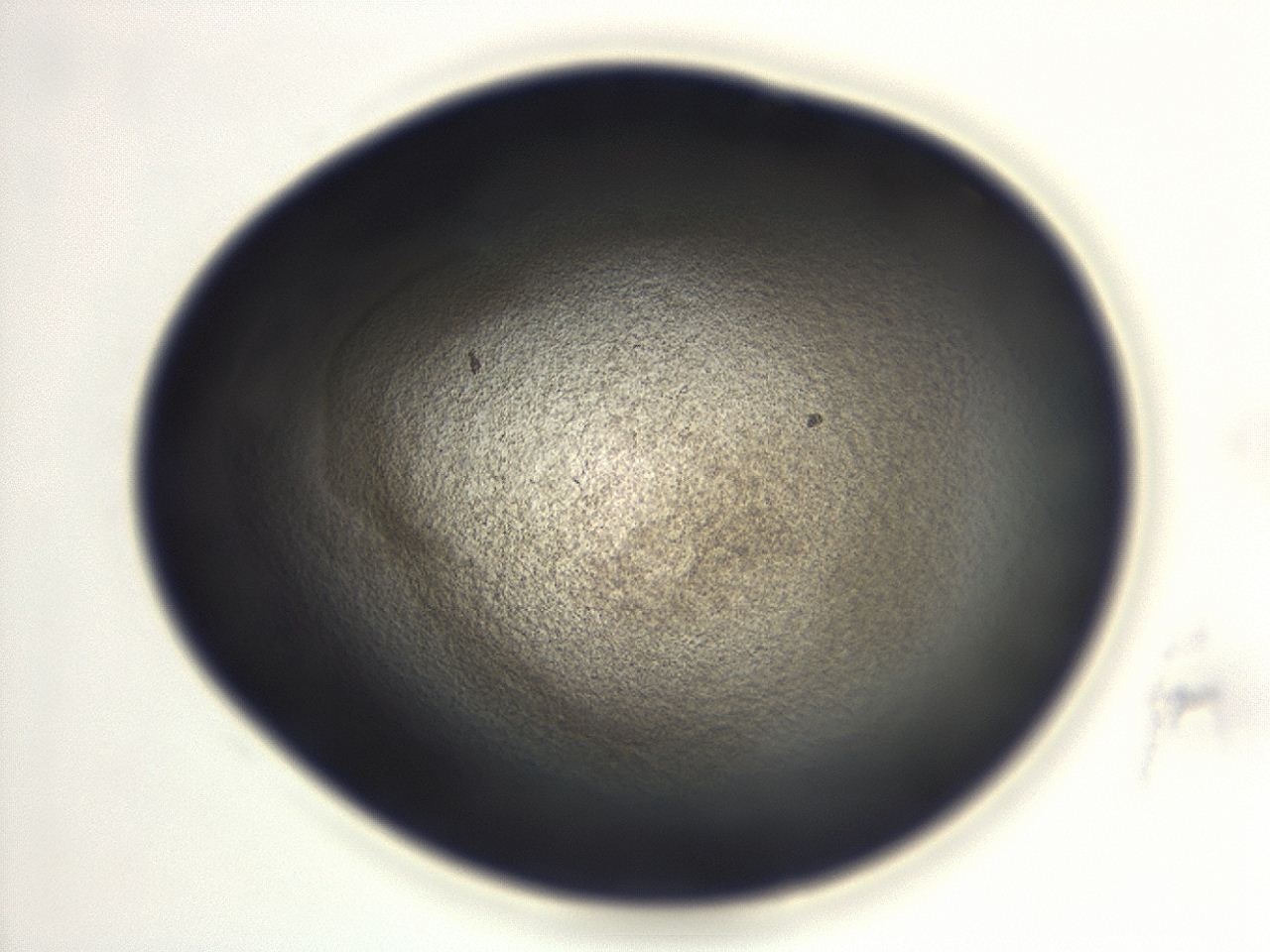 04ga_H7_ImagerDefaults_3.jpg