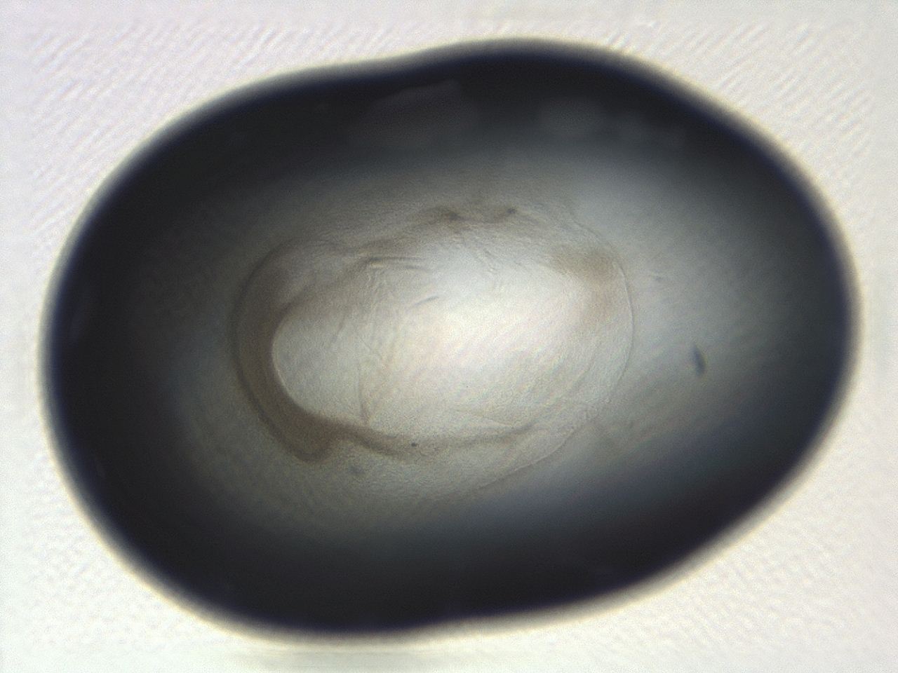 04ga_H12_ImagerDefaults_3.jpg