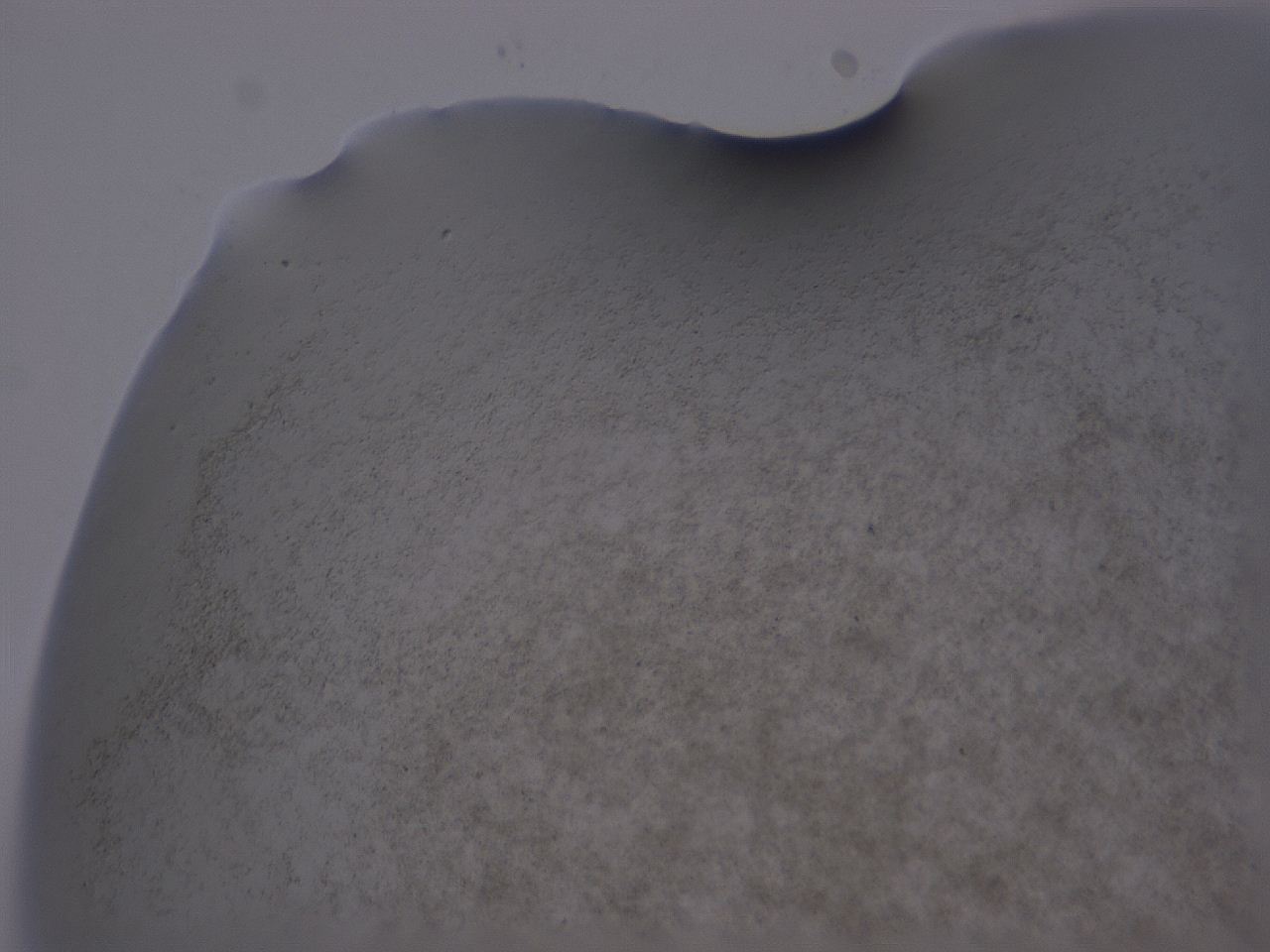 04gb_A11_ImagerDefaults_3.jpg