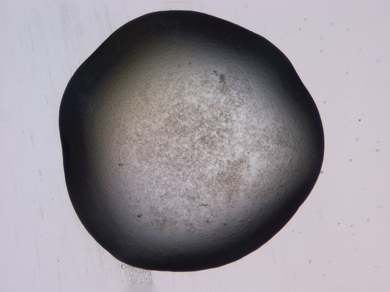04gb_B12_ImagerDefaults_3.jpg