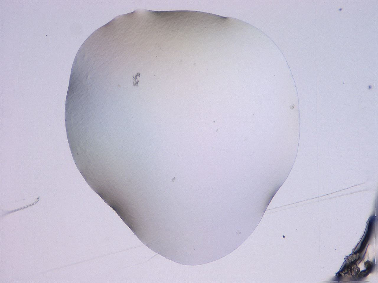 04gb_B9_ImagerDefaults_0.jpg