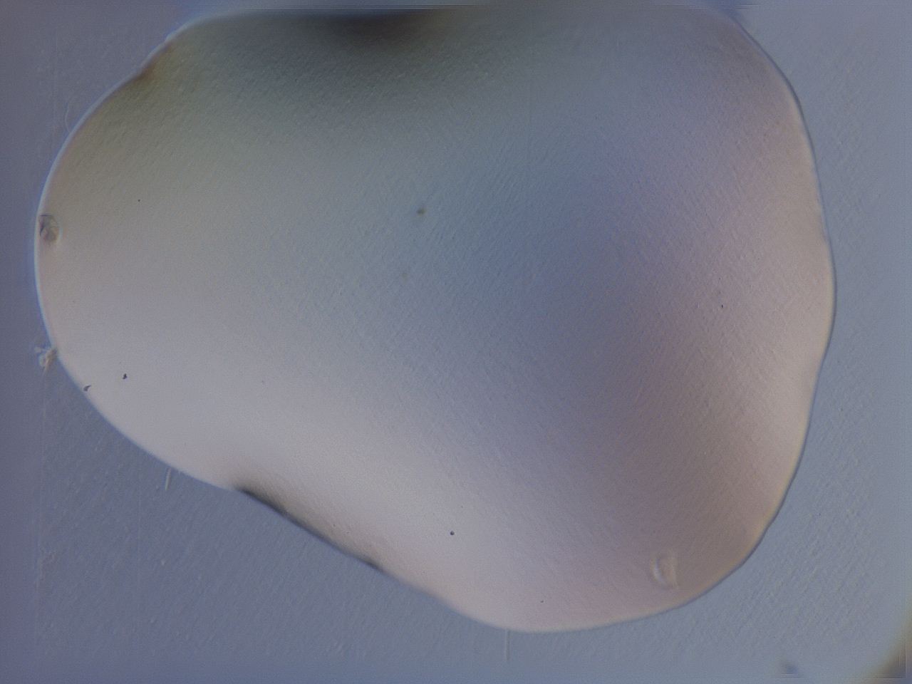 04gb_A2_ImagerDefaults_9.jpg