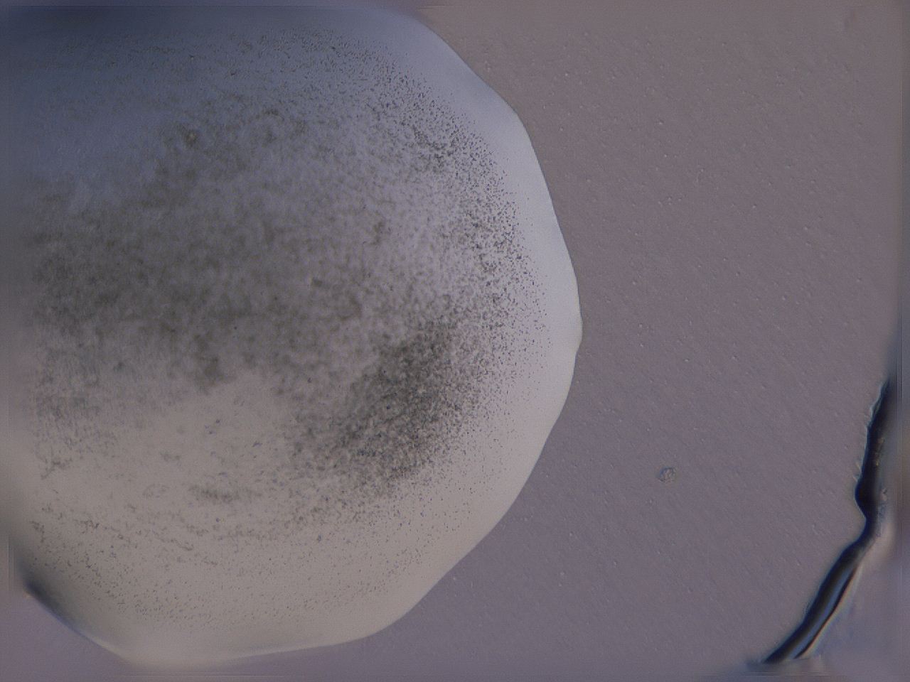 04gc_A9_ImagerDefaults_3.jpg