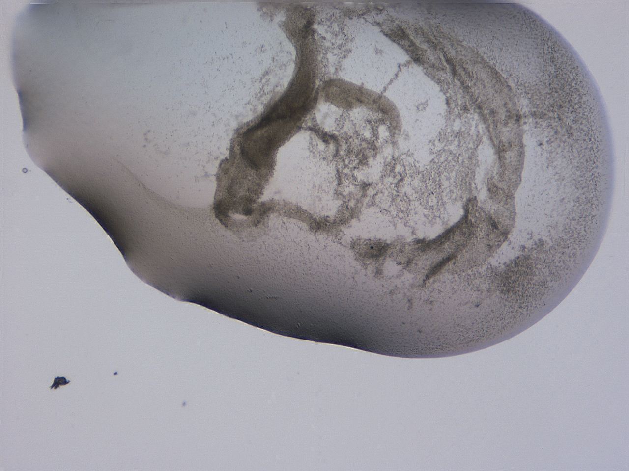 04gc_B10_ImagerDefaults_3.jpg