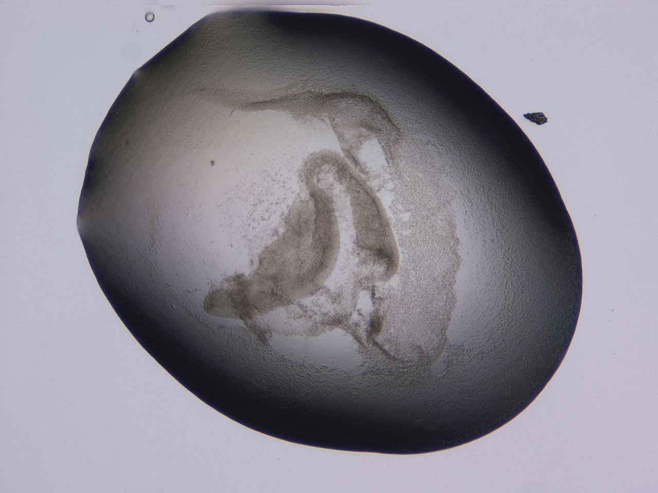 04gc_B12_ImagerDefaults_3.jpg