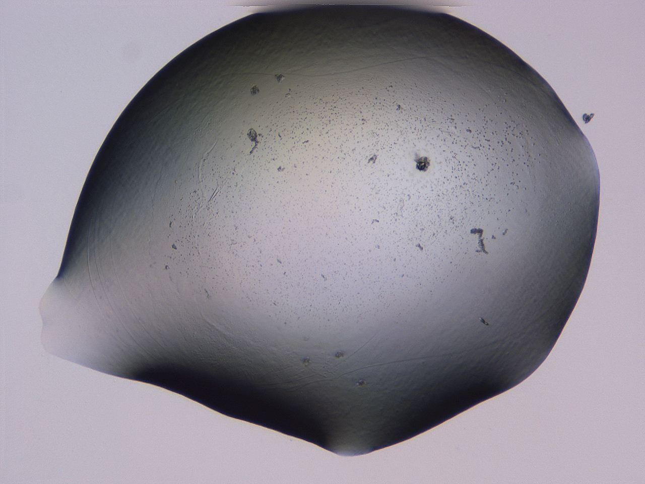 04gc_C6_ImagerDefaults_3.jpg