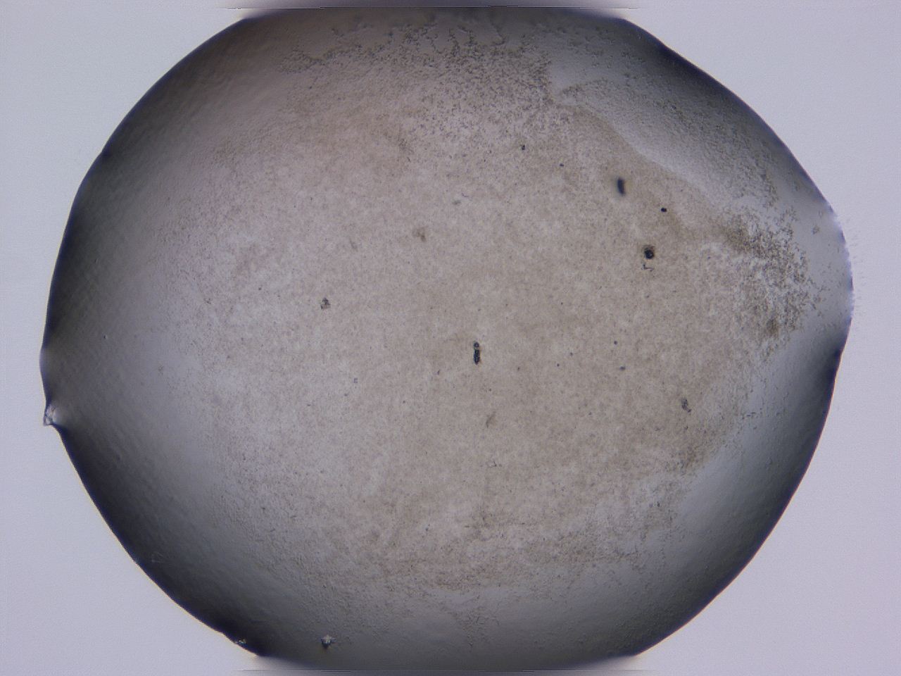 04gc_C8_ImagerDefaults_3.jpg