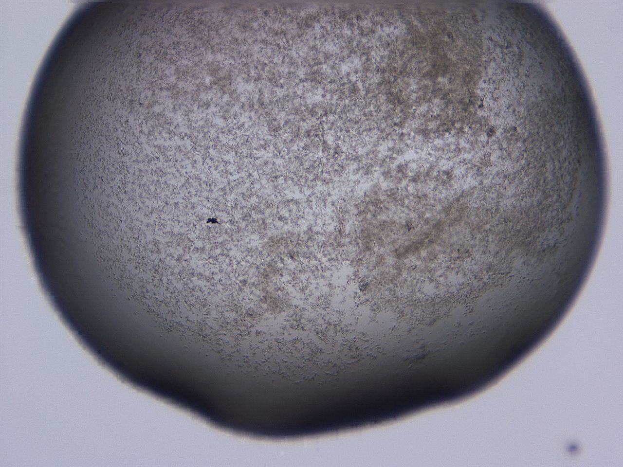 04gc_C9_ImagerDefaults_3.jpg