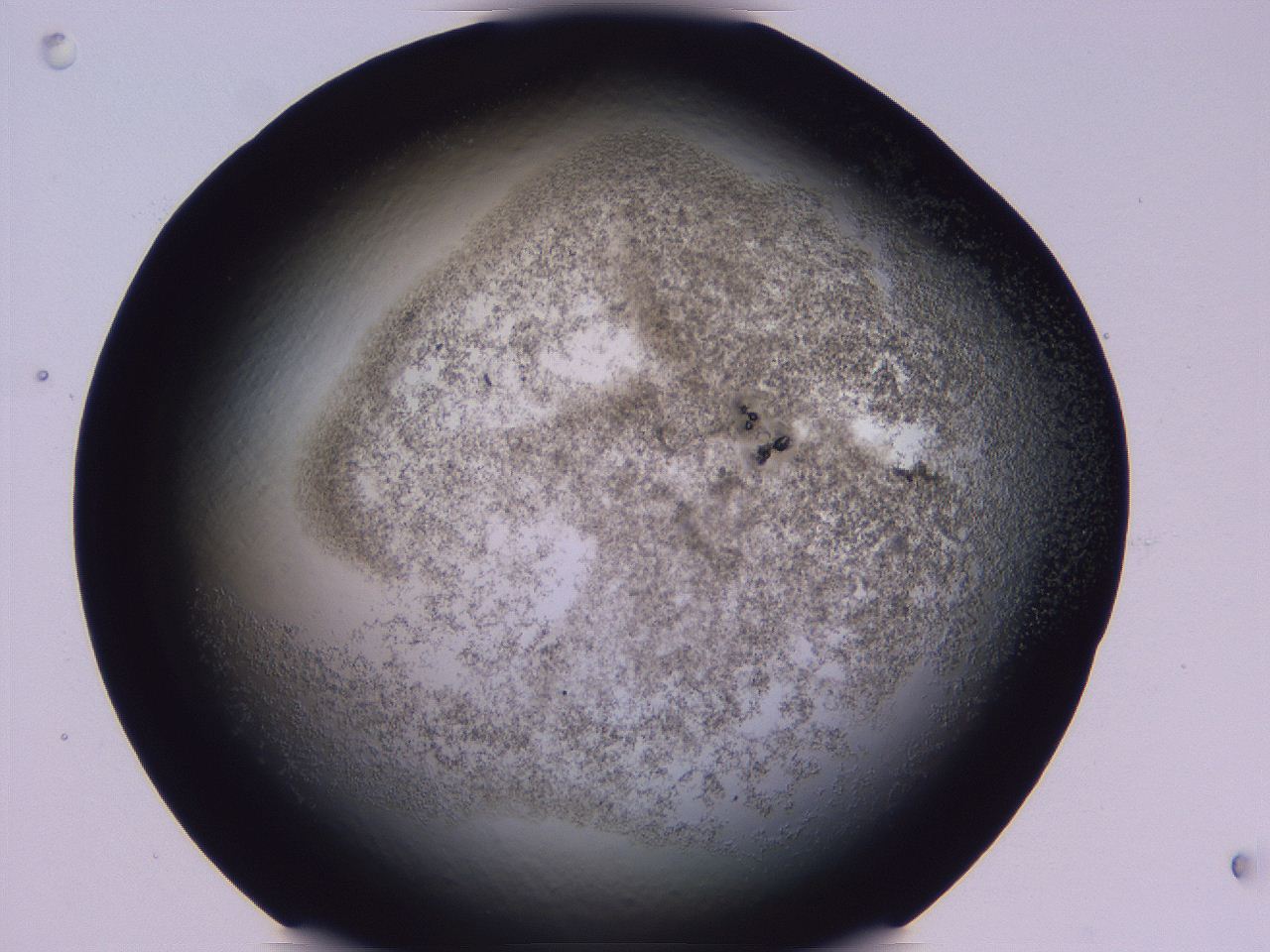 04gc_C10_ImagerDefaults_3.jpg